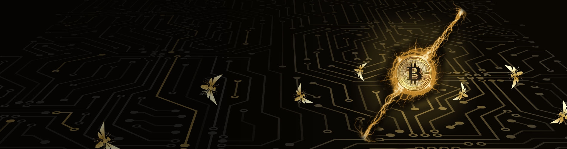 Hero Background Image