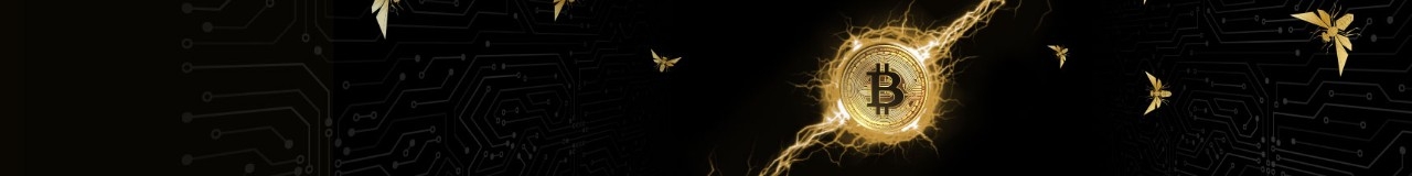 Hero Background Image